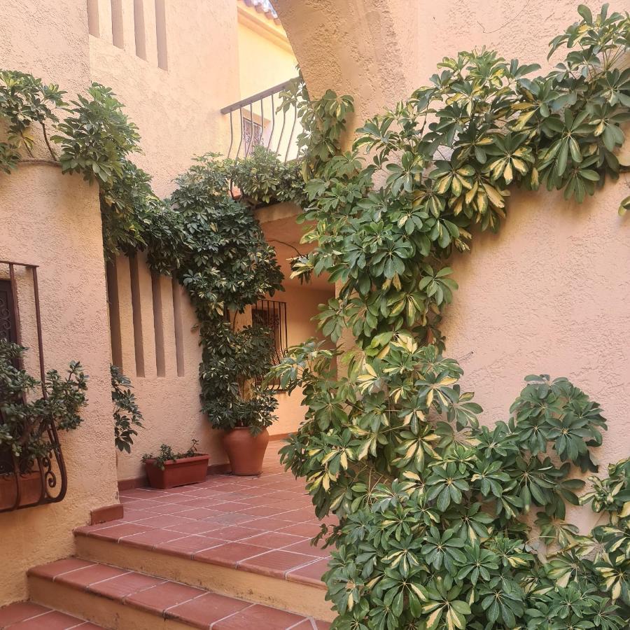Apartamento En Lujoso Puerto Deportivo Альтеа Экстерьер фото